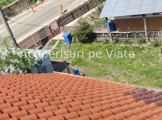 Prețuri orientative 2025